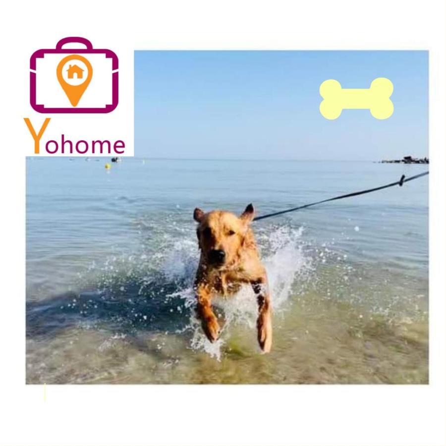 Zara D'Amare A Pesaro 10 Metri Dalla Spiaggia By Yohome エクステリア 写真